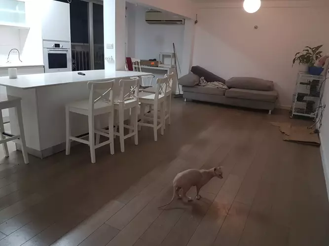 התקנת פרקט עץ 3